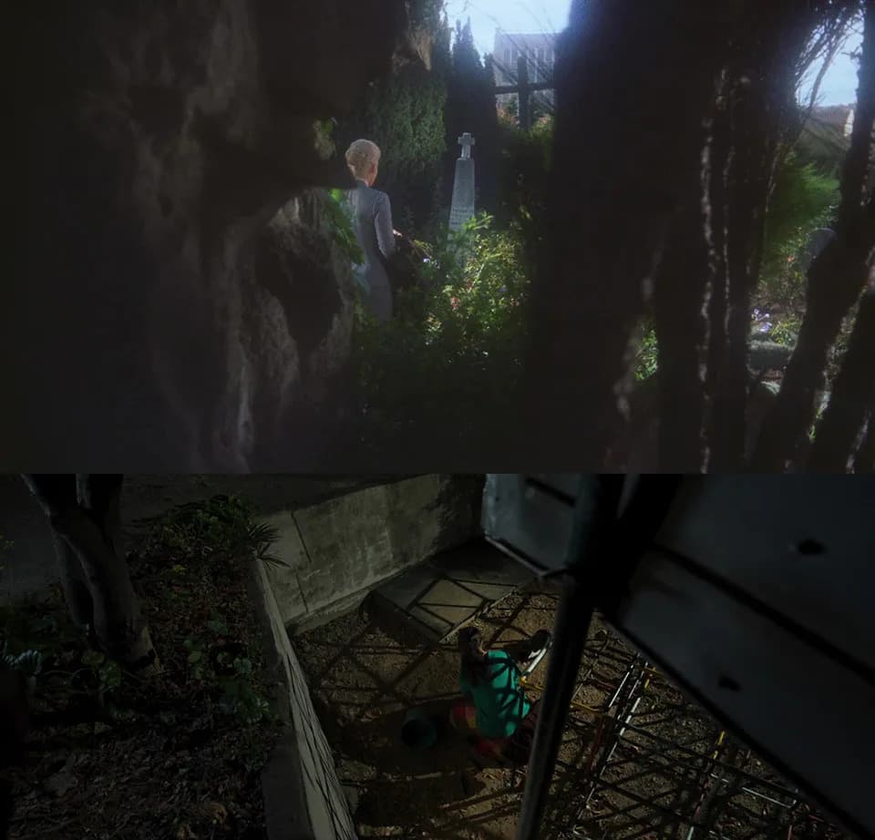 Surveilling from behind at a gravesite (Carlotta/black crow)